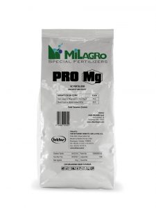 PRO Mg