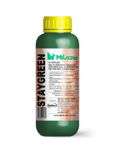 STAYGREEN
