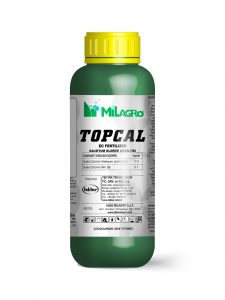 TOPCAL