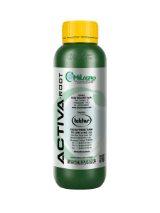 ACTIVA-ROOT