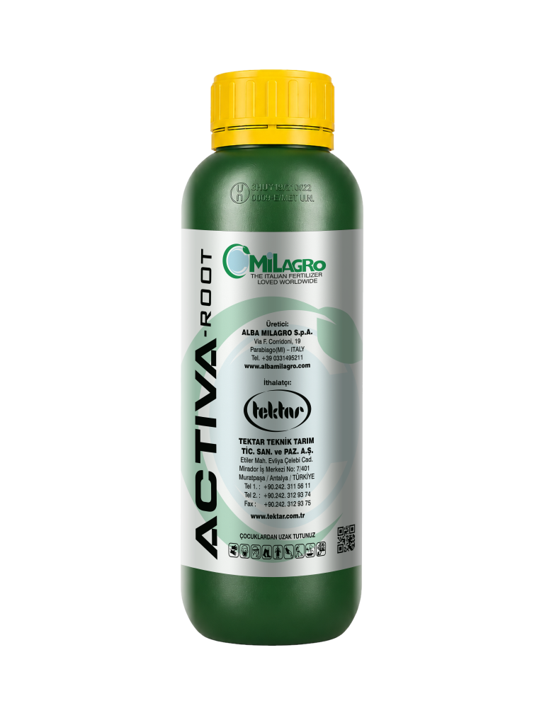 ACTIVA-ROOT