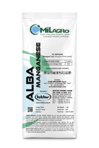ALBA MANGANESE