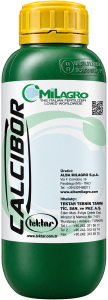 CALCIBOR