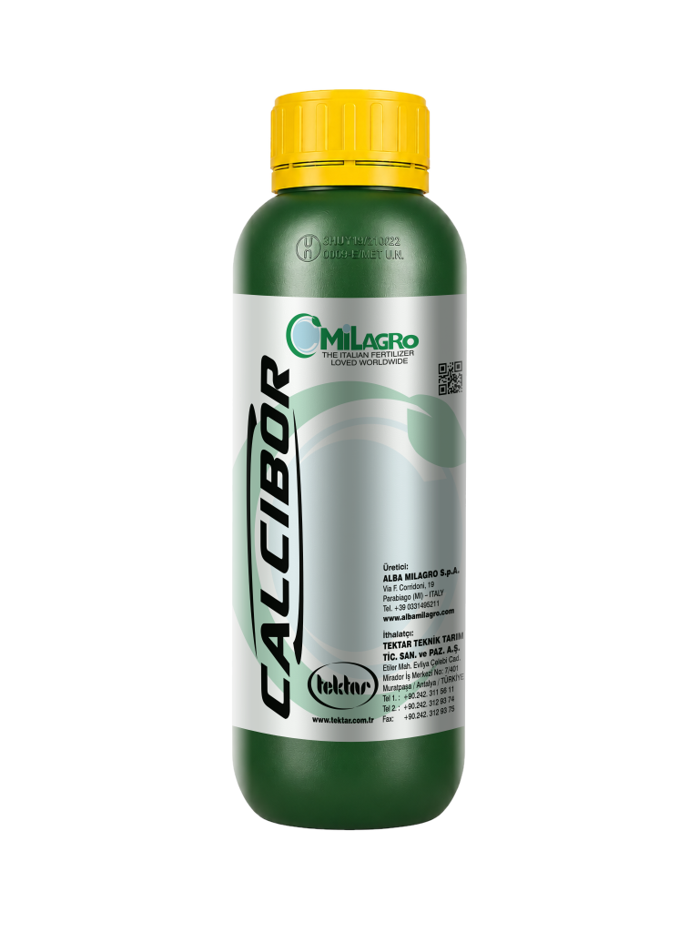 CALCIBOR