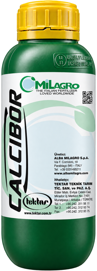 CALCIBOR
