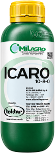 ICARO