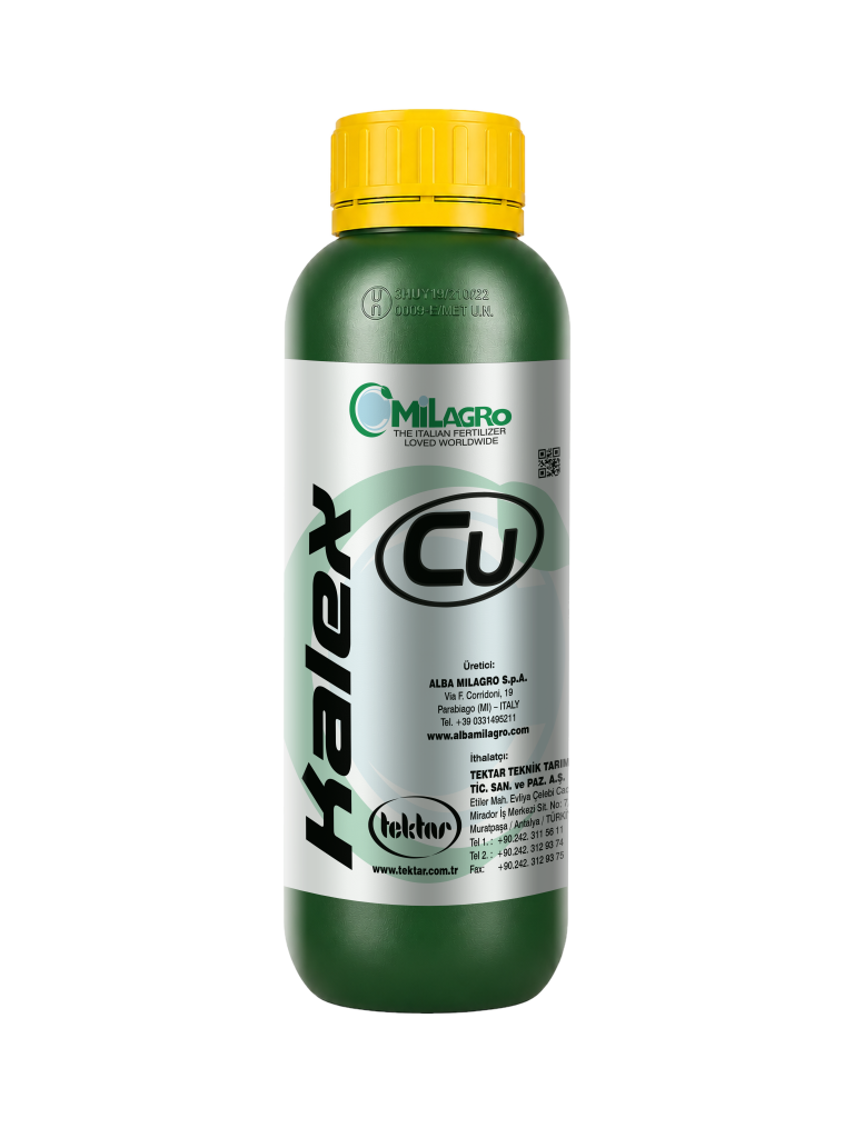 KALEX Cu