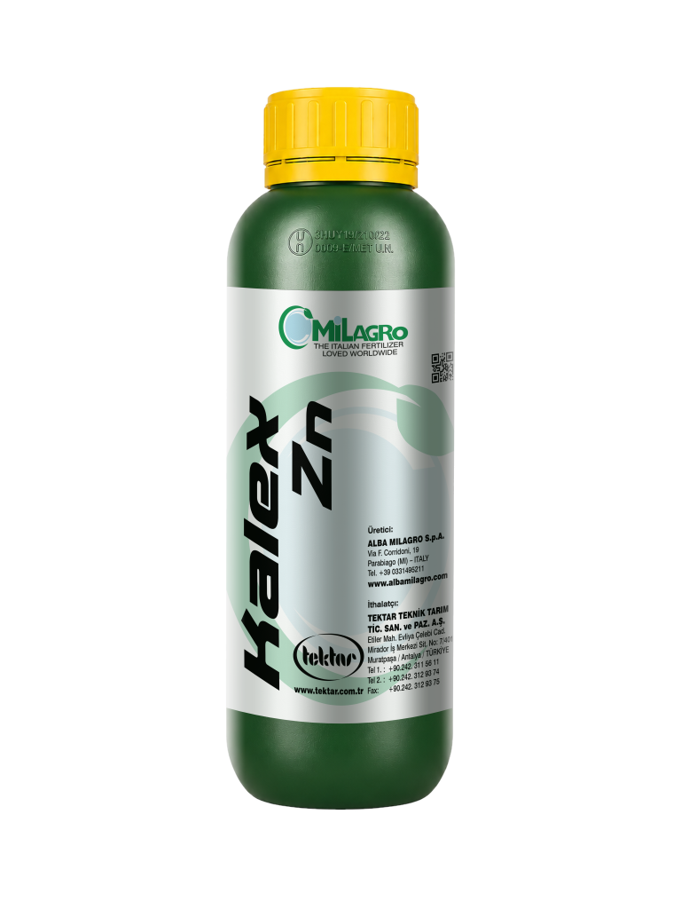 KALEX Zn