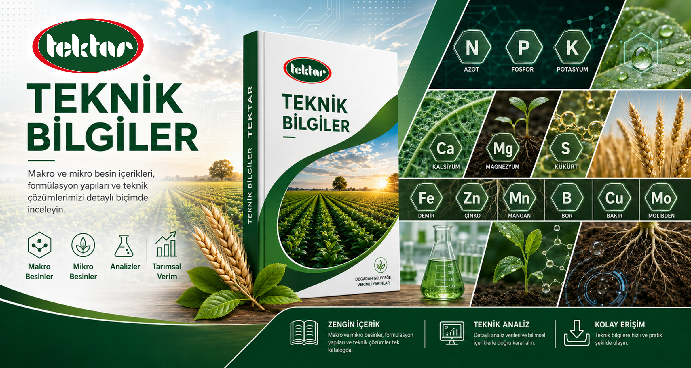 Teknik Bilgiler